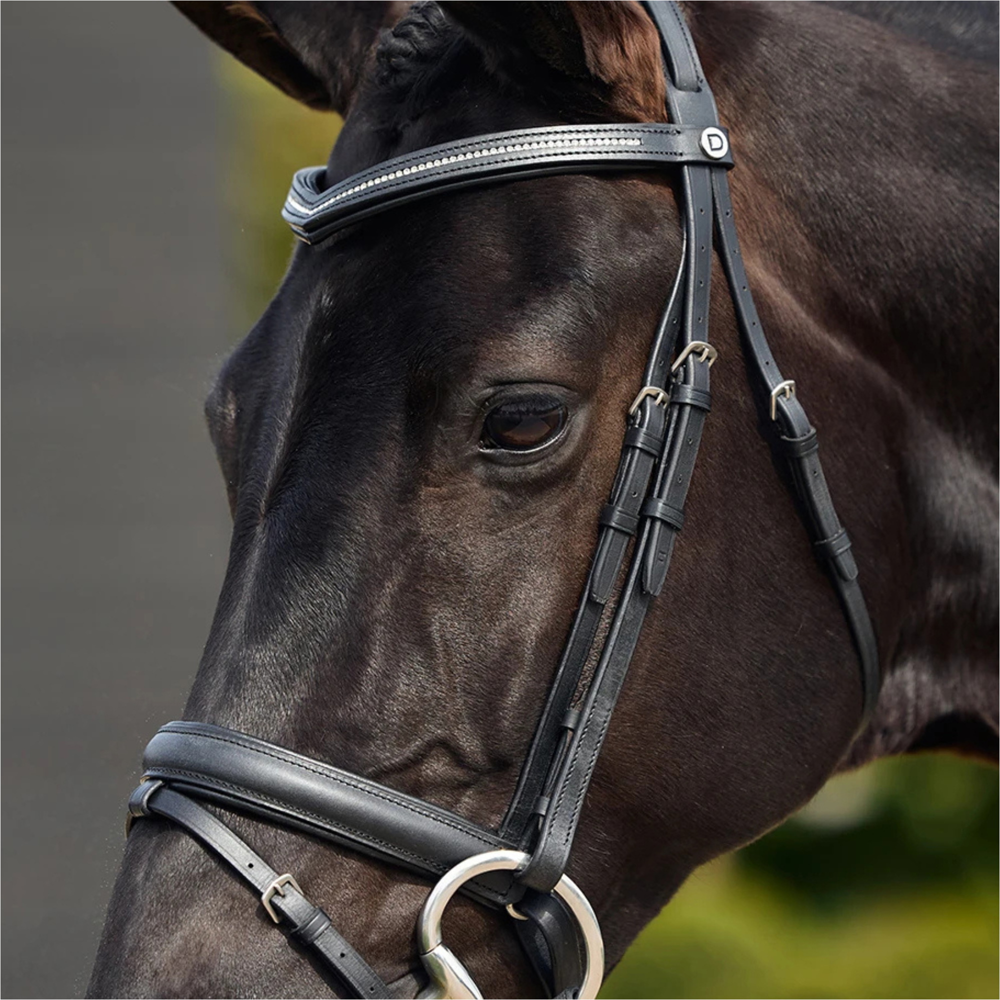 2026 Dublin Coussiné Confort Couronne Cristal Flash Bridle 1031500 - Black